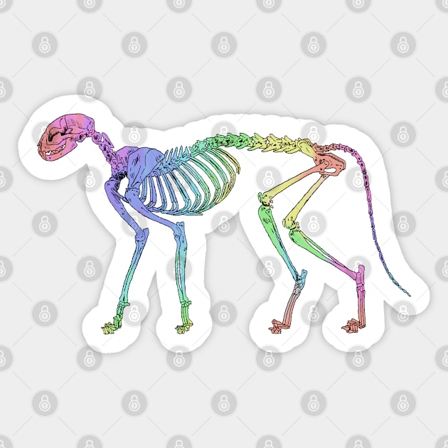 Cat Skeleton Rainbow Sticker by TrapperWeasel